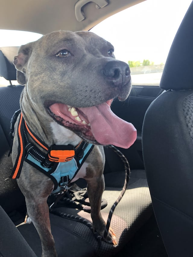 Cheezburger Image 10615557888