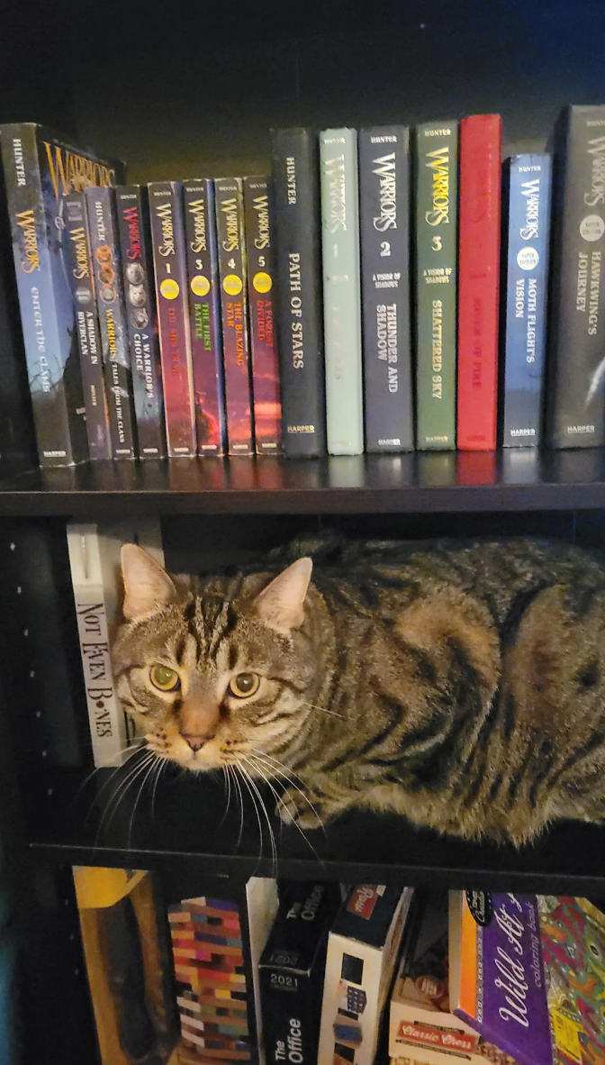 WARRIORS HAWKWING'S JOURNEY MOTH FLIGHT'S VISION goog Butto FDF PRO WARRIORS 5 WARRIORS RIVER OP FIRE SHATTERED SKY THUNDER AND SHADOW Raw - HUNTER PATH OF STARS WARRIORS S WARRIORS WARRIORS S WARRIORS www.s A FOREST DIVIDED THE BLAZING STAR THE FIRST BATTLE THE ST 294 A WARRIOR'S, CHOICE HUNTER WARRIORS TALES FROM THE CLANS DWWRIORS D A SHADOW IN RIVERCLAN NOT EVEN BONES HUNTER WARRIORS ENTER THE CLAMS 7 жо