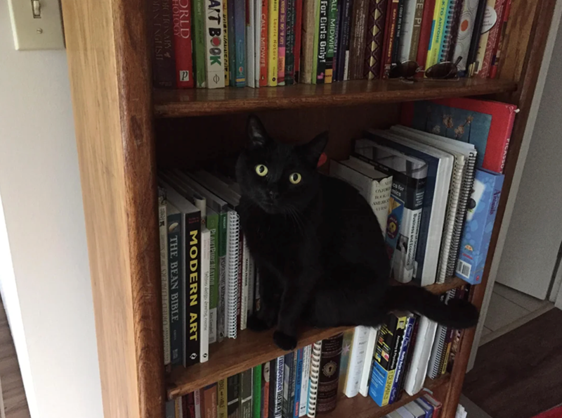 K TO ANYONE FE PIC 1 COULD FEE ON TH ALL MIDWIFE For Girls Only! COR THE NOAST BRIDE Laurie Notare CALL-MIDWIFE SVART VONNE CU AKT BOOK WOUT ORLD HOLOGY DICTIONARY DIAN ENGLISH FICASSO Antals Business and Economics &PhyDUMMIES 101 FORENSIC MEDICINE THE PLANTPURE NATION COOK Xin Campbell Sebino detgo deng, come MODERN ART THE BEAN BIBLE CASSA Gramwar innocence TREATMENT RBOLE-HALF A °