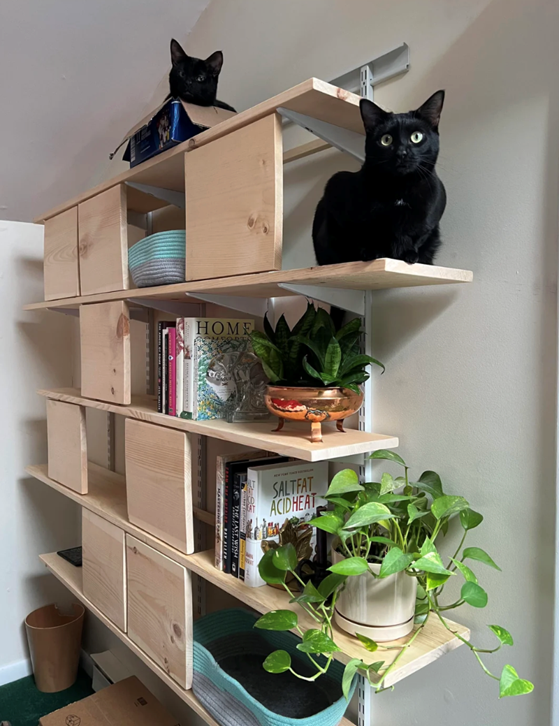 HOME SALTFAT ACIDHEAT