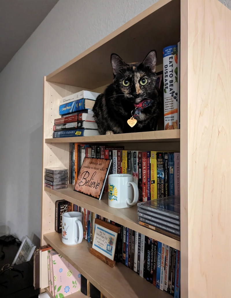 EAT TO BEAT DISEASE dol TO KILL A MOCKINGBIRD Healing Tides ROBERT CAMPBELL SAUCE FOR TH LULLABY TOWN ROBERT B. PARKER THE BOURNE LEG A NEW NOVEL ERIC VAN LUSTBAL DICK FRANCIS THE BOX The Dark River The Traveler SKOONT KOON KOONTZ ONT ROBERT CRAIS JUDAS GOAT BLOOD SPORT ROB JAM ROLL 2 111 THE SERIE IN A Believe BOUDY MATS-20 FRD RAGS HANGOUCTION QUANTUM OF SOLICE DESPICABLE ME +141 DESPICABLE ME 2-3 MINI-MOVIES FROZEN THE HINGER BANY CATCHING FIRE ENDER'S GAME 41 DIVERGENT GURUDWARSZ LAWLESS SSA