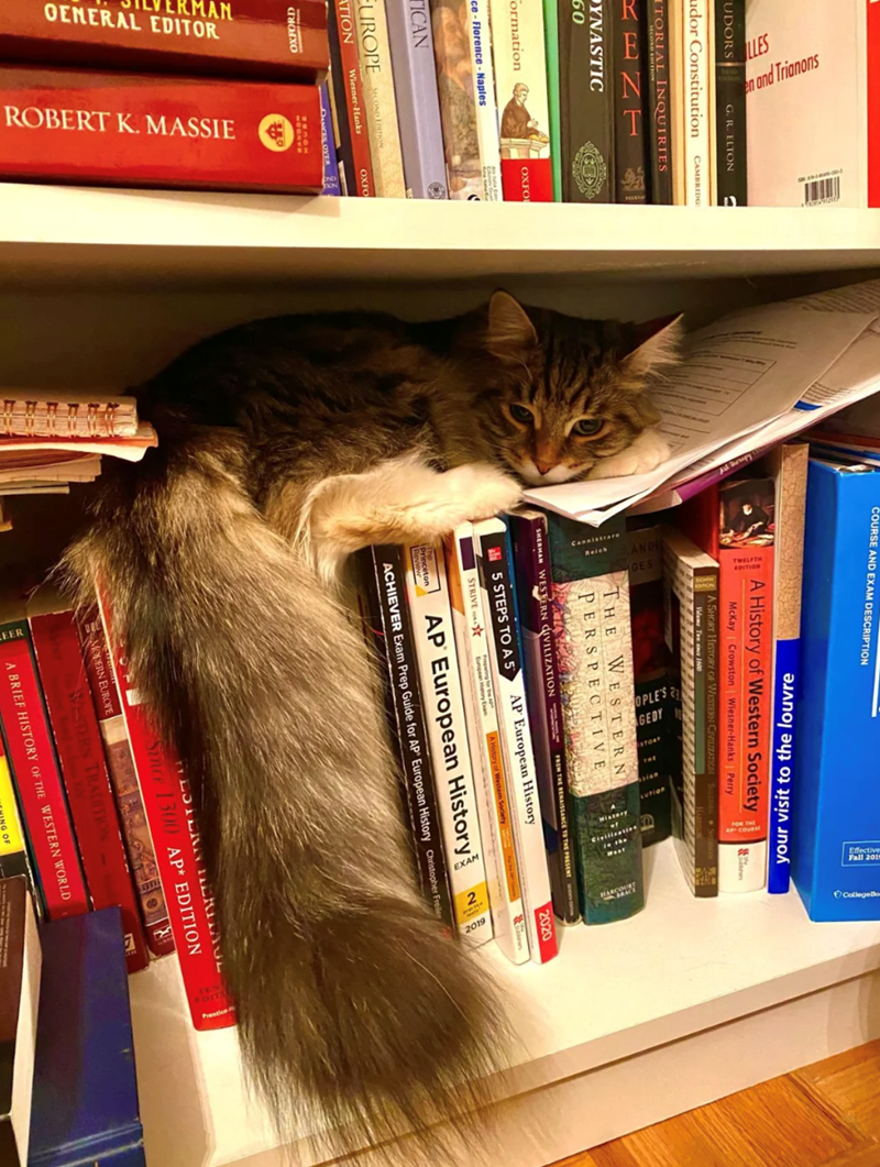 RMAN COURSE AND EXAM DESCRIPTION LLES en and Trianons UDORS G. R. ELTON udor Constitution CAMBRIDG ITORIAL INQUIRIES A History of Western Society McKay Crowston Wiesner-Hanks | Perry A SHORT HISTORY OF WESTERN CIVILIZATION Volume Twice 1600 RENT YNASTIC 60 Formation ce-Florence - Naples OXFO THE WESTERN PERSPECTIVE SHERMAN WESTERN CIVILIZATION 5 STEPS TO A 5 STRIVE FROM THE RENAISSANCE TO THE PRESENT AP European History A History of Westem Society TICAN EUROPE ATION SECOND EDITION The Princeton
