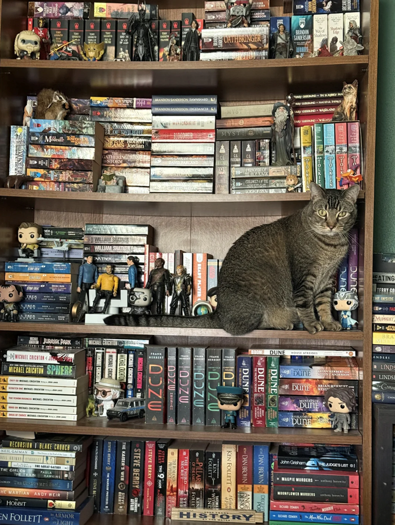 ONING ALL по 30 000 a DONY UNER2300 10 SORYZ 20 NOONT ILL N Grepaor upons BOTEN 11 WINTE FRONTWE 30 SOVE AD SHO UUUU WILLIAM SHATNER Evave READY PLAYER ARMAN JURASSIC PARK DUNG Dunes TERRY GO DEFAE MAGPIE MURDERS RICHARD OSMAN The Man Who Died DUNE THE BATTLE OF CORNY DUNE THE MACHINE CRUSADE DUNF THE BUTLERIAN 0 BALA AND NEW J ANDERSON AND REVOR 10320 שZכם! DOZU ΣΦΗΜΗΟΣ שZכם DAN BROWN DECEPTY POIN DEMO DAN BROWN ANGE KEN FOLLETT KEN FOLLETT OTHE PILLARS OF THE EARTH THE THIRD SECRET THE ROMANOV