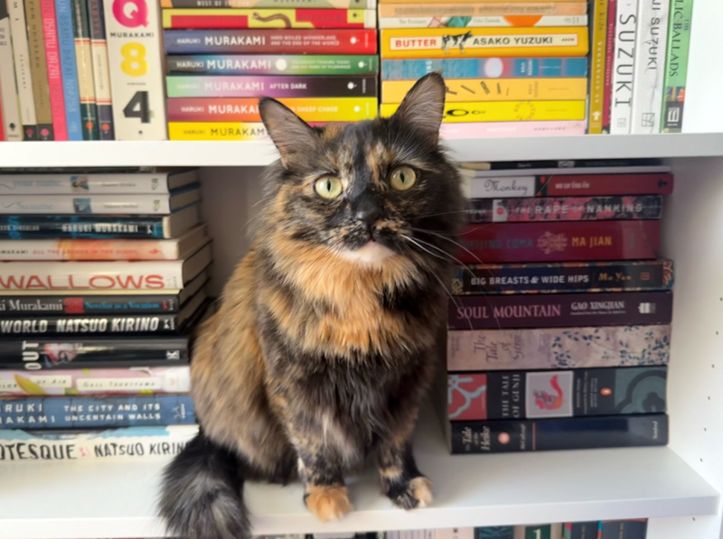 PER NETTLES RN OSAMU DAZAI NOP 351 UN OSAMU DAZAI NDP258 MI CANICANT MURAKAMI 8 4 WEST OF MURAKAMI HARUKI MURAKAMI MURAKAMI AFTER DARK MURAKA MURAKAM BUTTER ASAKO YUZUKI 53 <-11 wwww SUZUKI se kids ************ LIC BALLADS JI SUZUKI 因 四 91 WALLOWS i Murakami WORLD NATSUO KIRINO Monkey warmin RAPE NANKING NANKING WING COMAMA JIAN BIG BREASTS&WIDE HIPS MY S SOUL MOUNTAIN GAO XINGHAN OUT RUKI THE CITY AND ITS AKAMI UNCERTAIN WALLS OTESQUE NATSUO KIRIN appy->> Tale Heike THE TALE OF GESH Sann