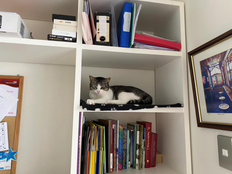 NOVA Together in Songj