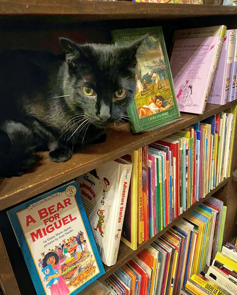 THE BORBS BORESIS IN T Disney's Starkes kure An I Can Read Book A BEAR FOR MIGUEL by Elaine Marie Alphin pictures by Joan Sandin Disney's Adventure Stories LAURA LEE HOPE STRONG MAM The C Charles Atla the fidding THE MURKEY TWINS ATEST PERSING THE UNFORTUNATE DECISIONS OF MUSTAN DAHLIA M ARNOLD VAN DRAANE