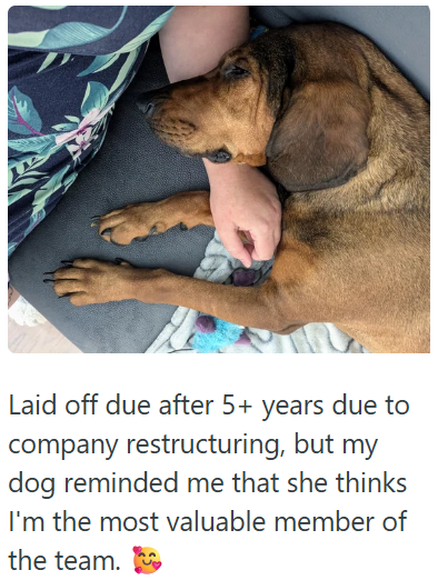 Laid off due after 5+ years due to company restructuring, but my dog reminded me that she thinks I'm the most valuable member of the team.
