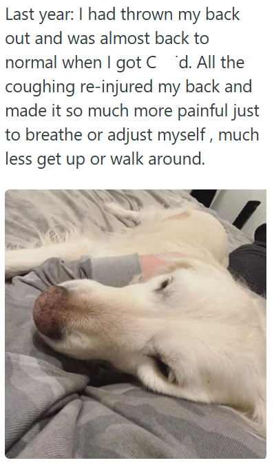Last year: I had thrown my back out and was almost back to normal when I got Cd. All the coughing re-injured my back and made it so much more painful just to breathe or adjust myself, much less get up or walk around.