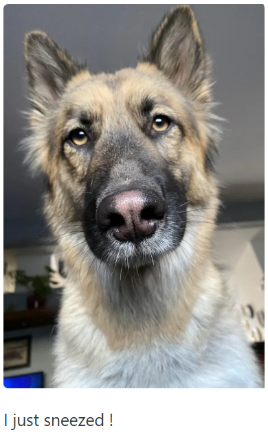 I just sneezed!