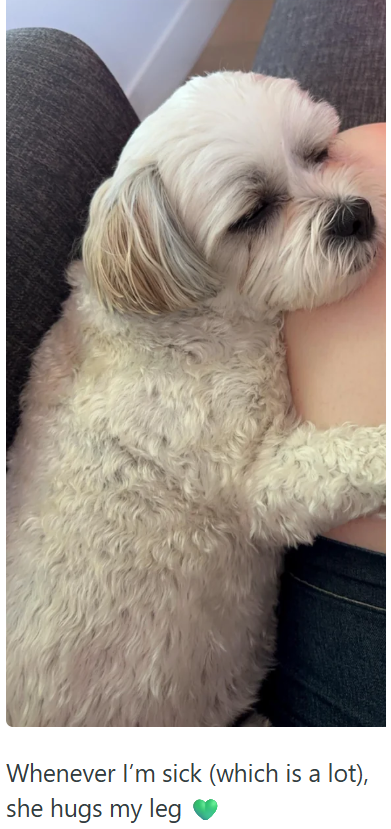 Whenever I'm sick (which is a lot), she hugs my leg