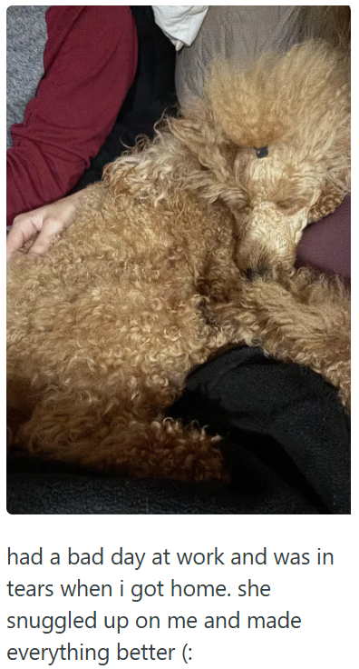 had a bad day at work and was in tears when i got home. she snuggled up on me and made everything better (: