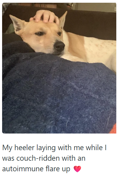 My heeler laying with me while I was couch-ridden with an autoimmune flare up