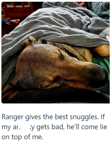 Ranger gives the best snuggles. If my ar y gets bad, he'll come lie on top of me.