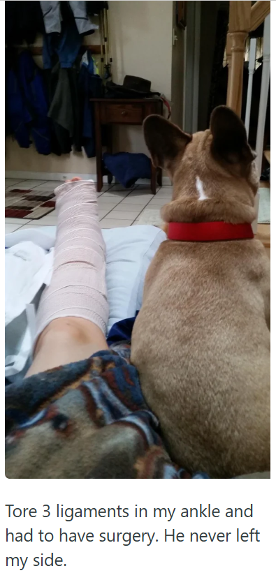 Tore 3 ligaments in my ankle and had to have surgery. He never left my side.