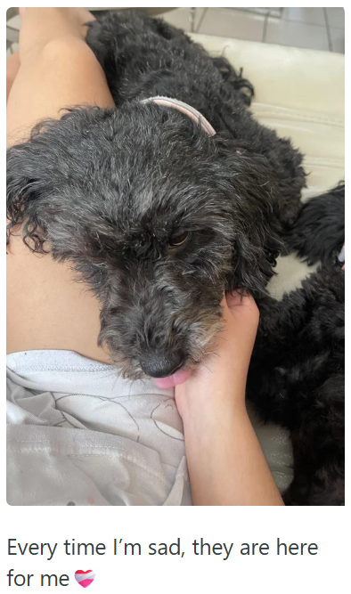 Every time I'm sad, they are here for me