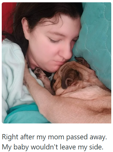 Right after my mom passed away. My baby wouldn't leave my side.