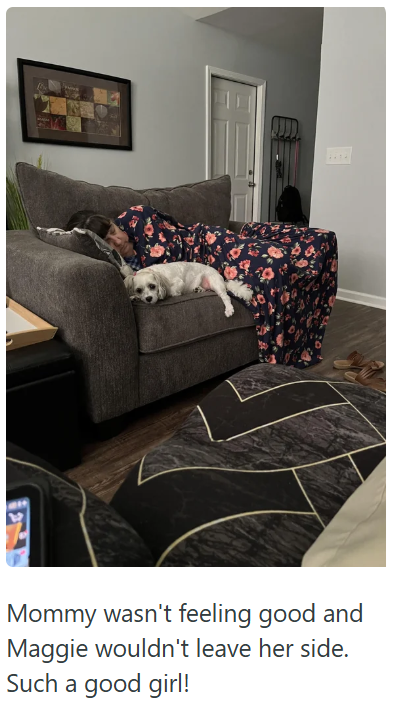 Mommy wasn't feeling good and Maggie wouldn't leave her side. Such a good girl!