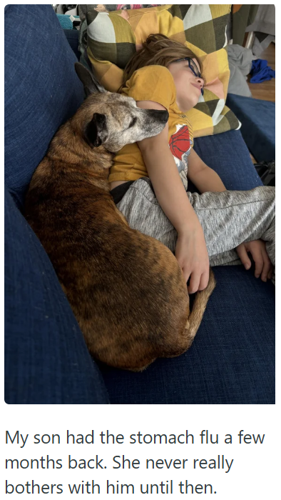 My son had the stomach flu a few months back. She never really bothers with him until then.