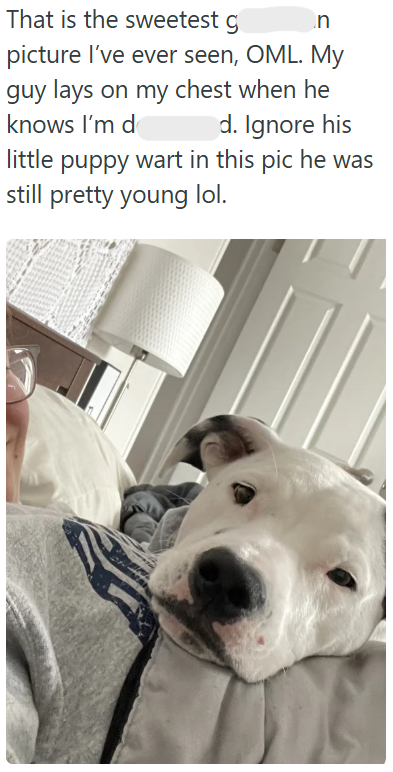 That is the sweetest g n picture I've ever seen, OML. My guy lays on my chest when he knows I'm d d. Ignore his little puppy wart in this pic he was still pretty young lol.