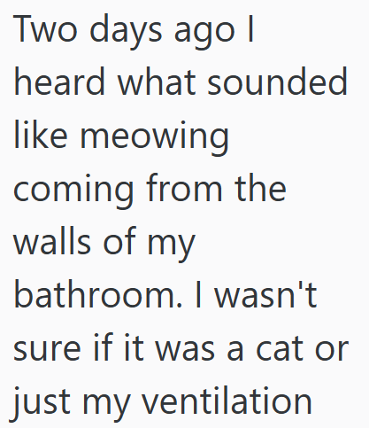 Two days ago I heard what sounded like meowing coming from the walls of my bathroom. I wasn't sure if it was a cat or just my ventilation