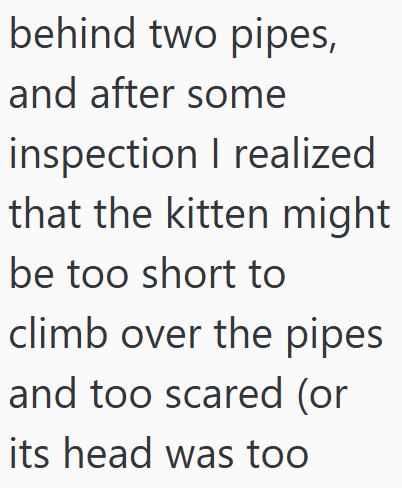 behind two pipes, and after some inspection I realized that the kitten might be too short to climb over the pipes and too scared (or its head was too