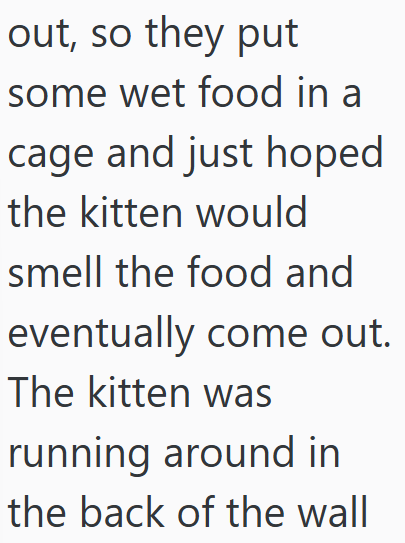 out, so they put some wet food in a cage and just hoped the kitten would smell the food and eventually come out. The kitten was running around in the back of the wall