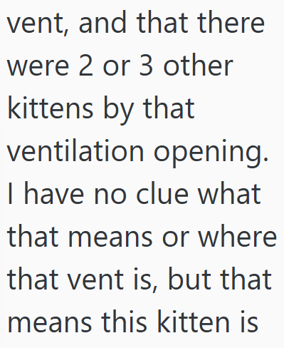 vent, and that there were 2 or 3 other kittens by that ventilation opening. I have no clue what that means or where that vent is, but that means this kitten is