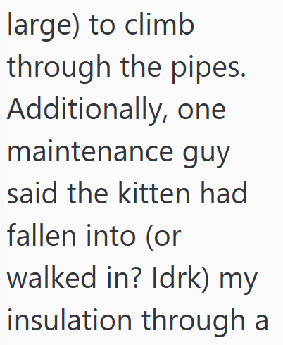 large) to climb through the pipes. Additionally, one maintenance guy said the kitten had fallen into (or walked in? Idrk) my insulation through a