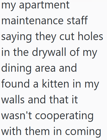 my apartment maintenance staff saying they cut holes in the drywall of my dining area and found a kitten in my walls and that it wasn't cooperating with them in coming