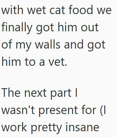 with wet cat food we finally got him out of my walls and got him to a vet. The next part I wasn't present for (I work pretty insane