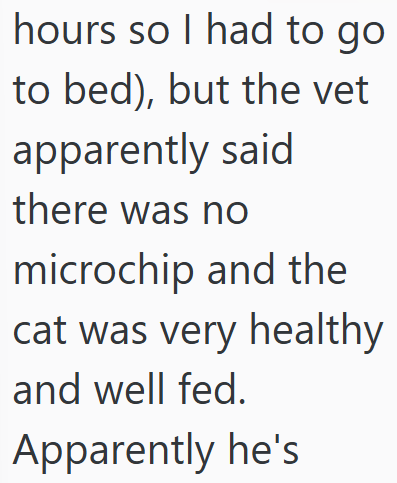 hours so I had to go to bed), but the vet apparently said there was no microchip and the cat was very healthy and well fed. Apparently he's