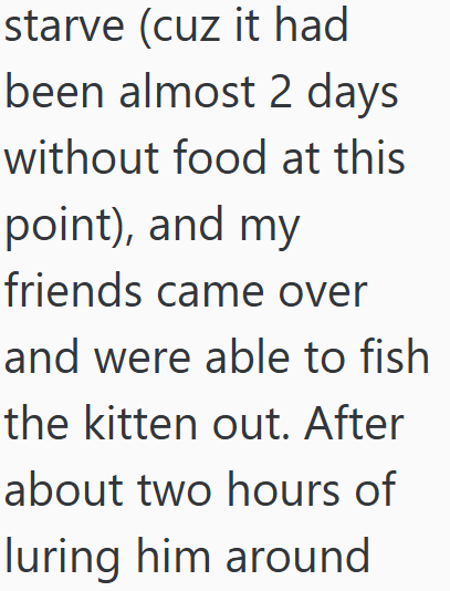 starve (cuz it had been almost 2 days without food at this point), and my friends came over and were able to fish the kitten out. After about two hours of luring him around