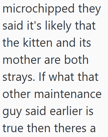 microchipped they said it's likely that the kitten and its mother are both strays. If what that other maintenance guy said earlier is true then theres a