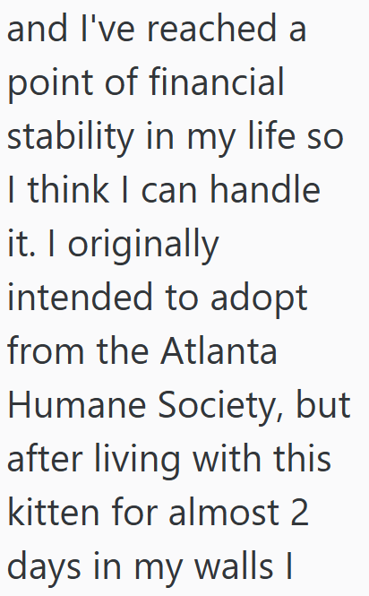 and I've reached a point of financial stability in my life so I think I can handle it. I originally intended to adopt from the Atlanta Humane Society, but after living with this kitten for almost 2 days in my walls I