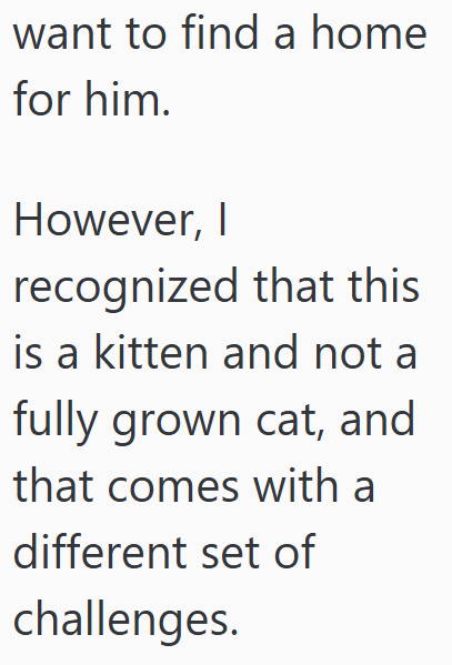 want to find a home for him. However, I recognized that this is a kitten and not a fully grown cat, and that comes with a different set of challenges.