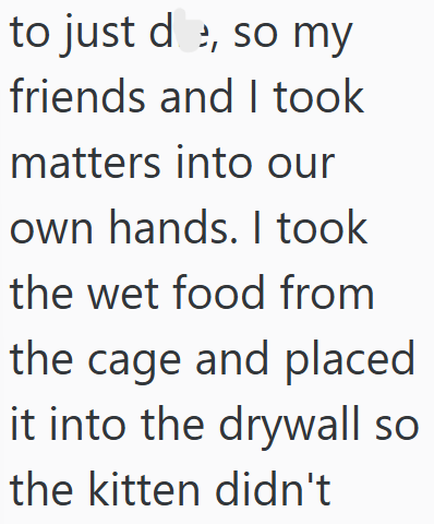 to just de, so my friends and I took matters into our own hands. I took the wet food from the cage and placed it into the drywall so the kitten didn't
