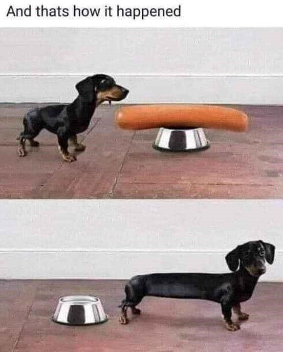 And thats how it happened