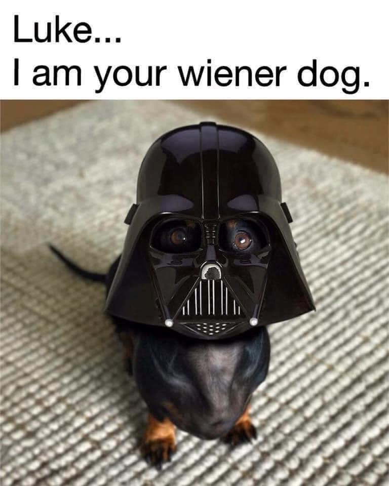Luke... I am your wiener dog.