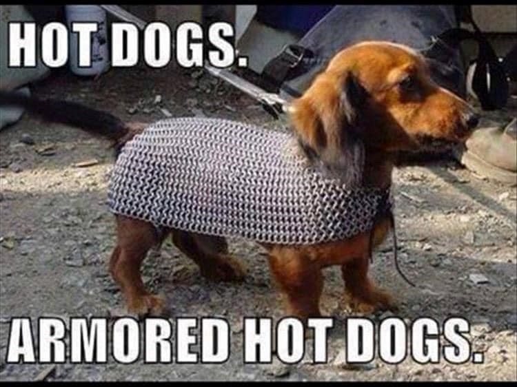 HOT DOGS. ARMORED HOT DOGS: