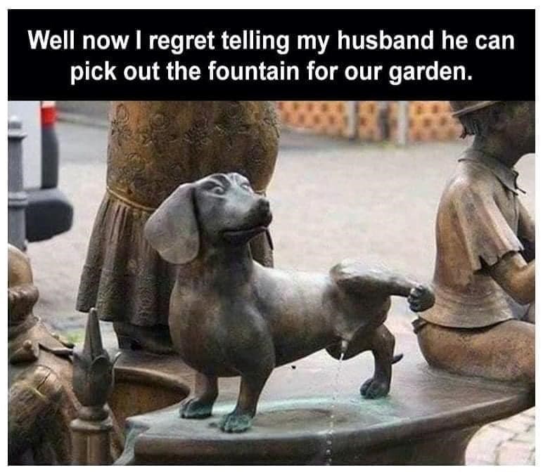 Well now I regret telling my husband he can pick out the fountain for our garden.