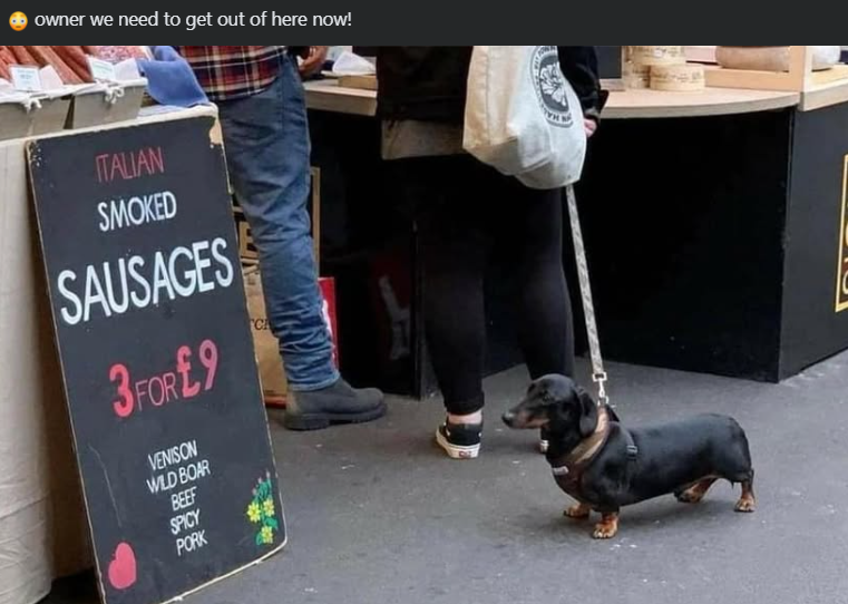 owner we need to get out of here now! ITALIAN SMOKED SAUSAGES 3 FOR £9 VENISON WILD BOAR BEEF SPICY C PORK
