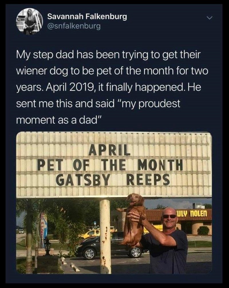 Savannah Falkenburg @snfalkenburg My step dad has been trying to get their wiener dog to be pet of the month for two years. April 2019, it finally happened. He sent me this and said "my proudest moment as a dad" APRIL PET OF THE MONTH GATSBY REEPS ULY NOLEN כו