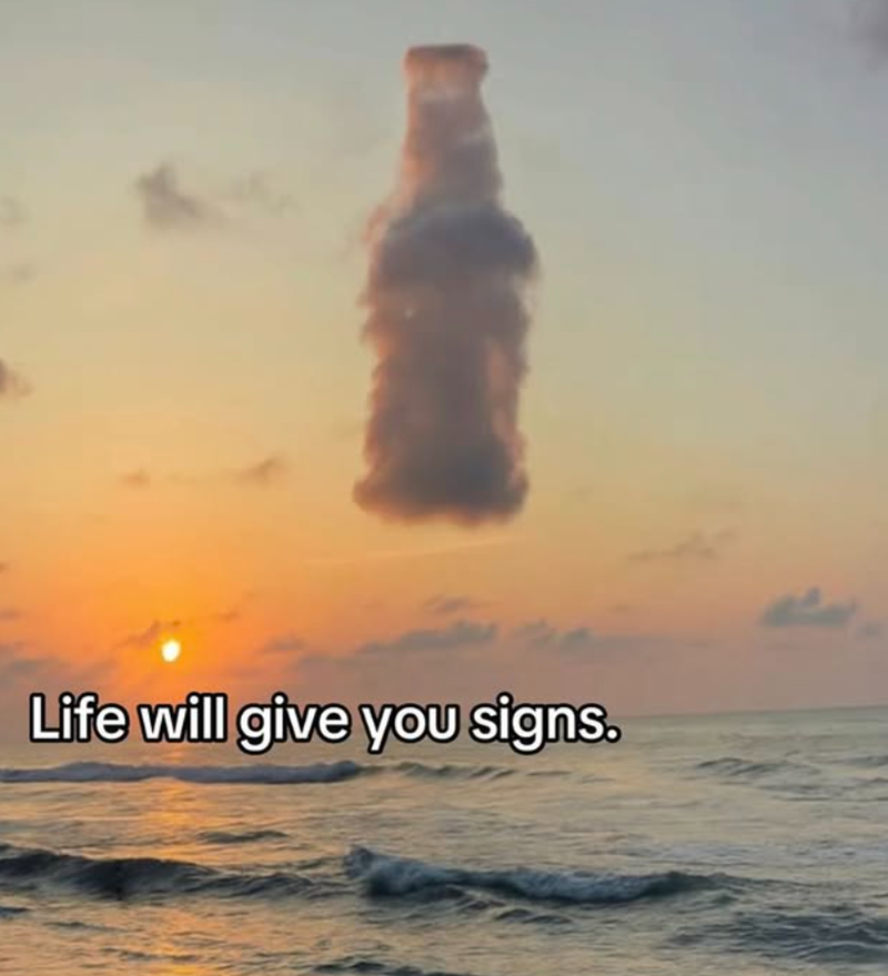 Life will give you signs.