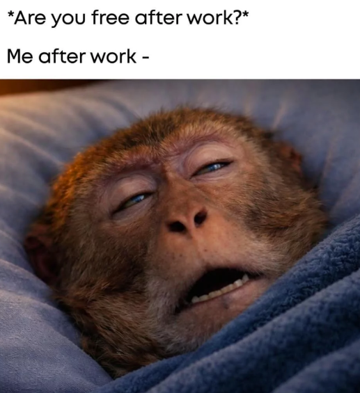 *Are you free after work?* Me after work -