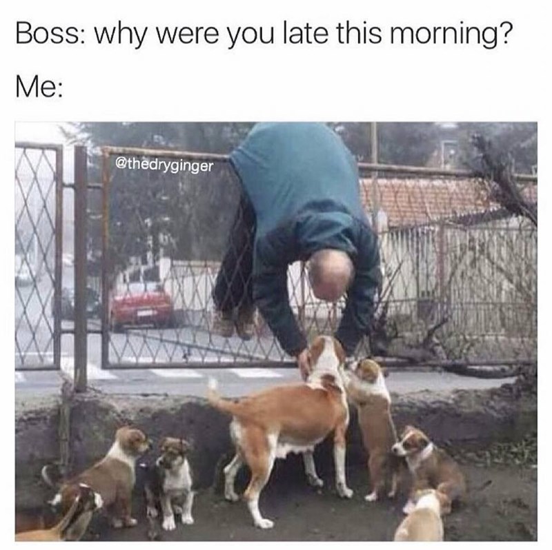 Boss: why were you late this morning? Me: @thedryginger
