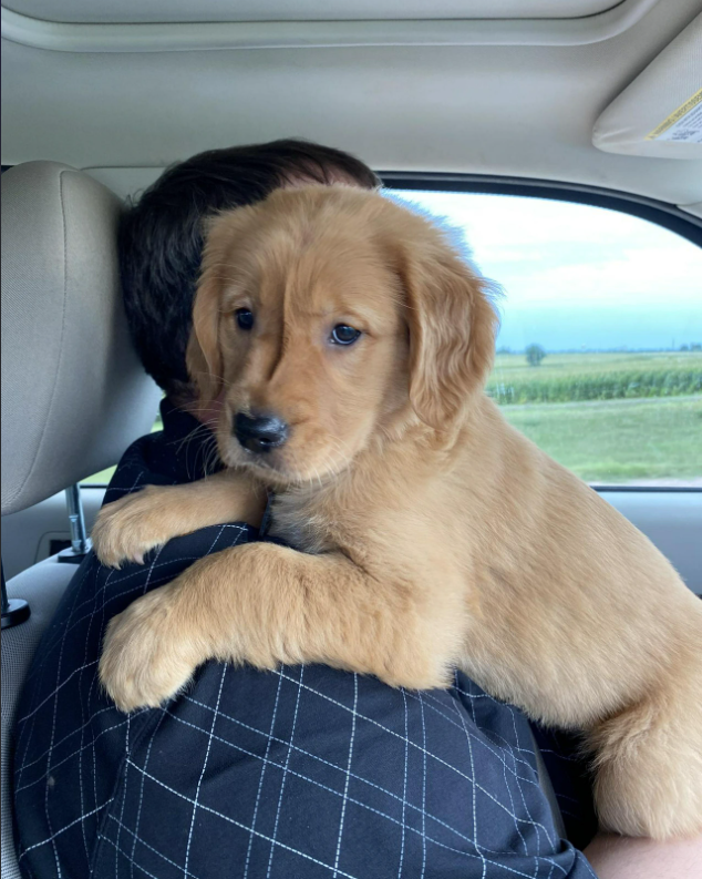 Cheezburger Image 10615598592