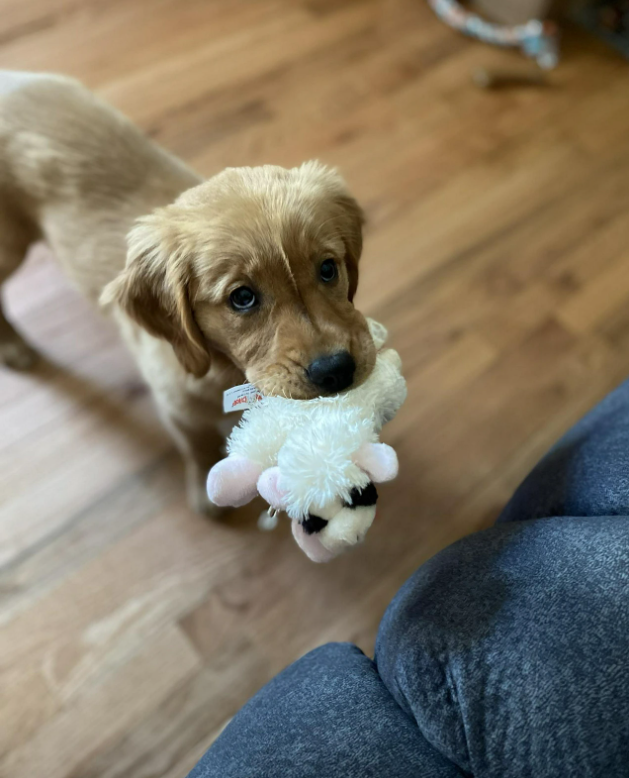 Cheezburger Image 10615598848