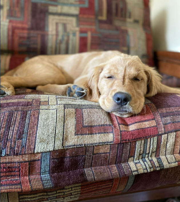 Cheezburger Image 10615599104