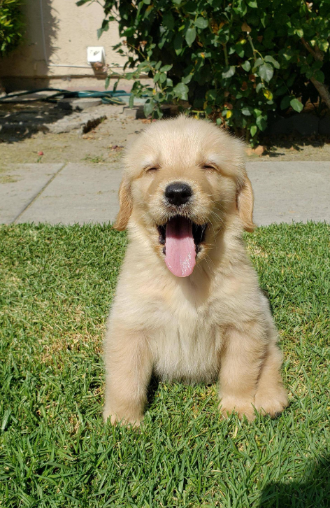 Cheezburger Image 10615600640