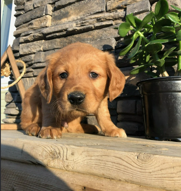 Cheezburger Image 10615600896